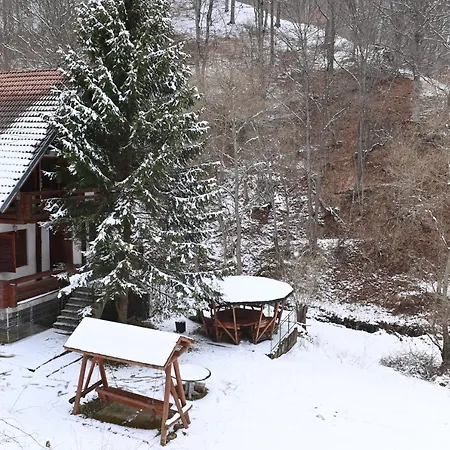 Casa De Vacanta Piatra Craiului La Doi Viermi * サティク