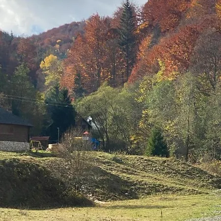 Casa De Vacanta Piatra Craiului La Doi Viermi