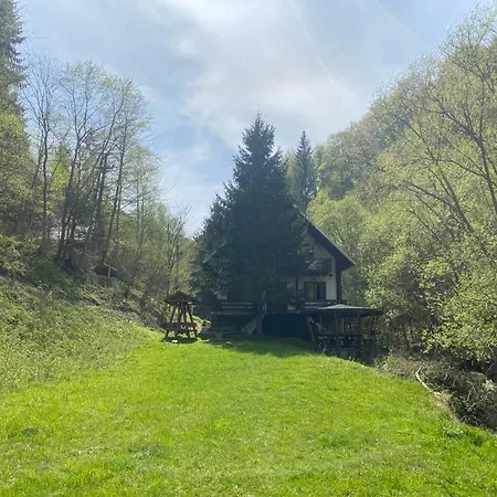 シャレー Casa De Vacanta Piatra Craiului La Doi Viermi *