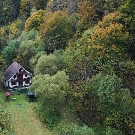 シャレー Casa De Vacanta Piatra Craiului La Doi Viermi *